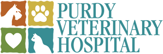 Purdy Veterinary Hospital
